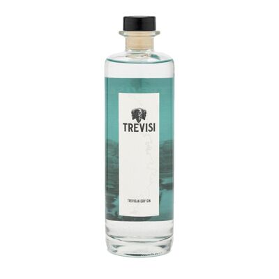 TREVISI GIN