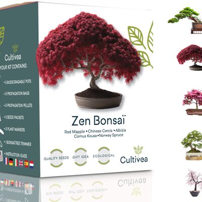 Kit Mini Listo para Cultivar Bonsái Zen