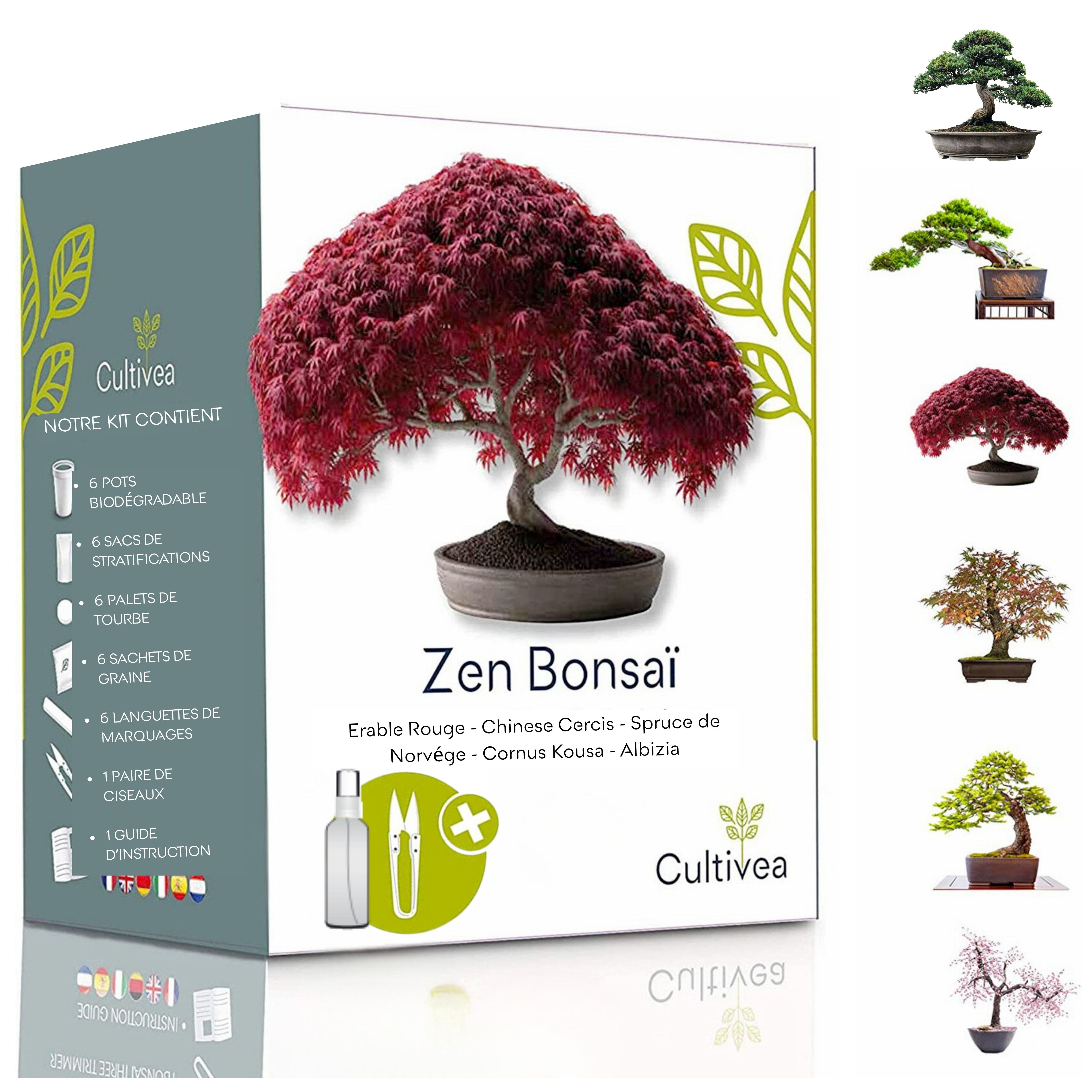 CULTIVEA® Mini Kit Prêt à Pousser 6 Bonsaï – Jardinez et décorez - Idée Cadeau Fête des mères (Red Mapple, Chinese Cercis, Albizia, Cornus Kousa, Norway Spruce) - Marque Française