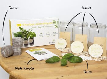 Kit Prêt à Pousser d'herbes aromatiques BIO* - Jaune (Sauge, Basilic Citron, Aneth) 2