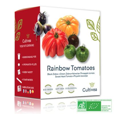 Mini-Kit Bereit für den Anbau von farbigen Bio-Tomaten *