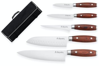 Mallette 5 couteaux de cuisine Sayuto Pakka X50 1
