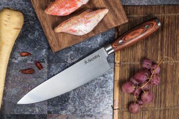 Couteau de chef Sayuto Pakka X50 21cm 2