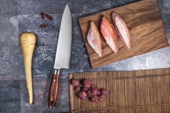 Couteau de chef Sayuto Pakka X50 21cm 3