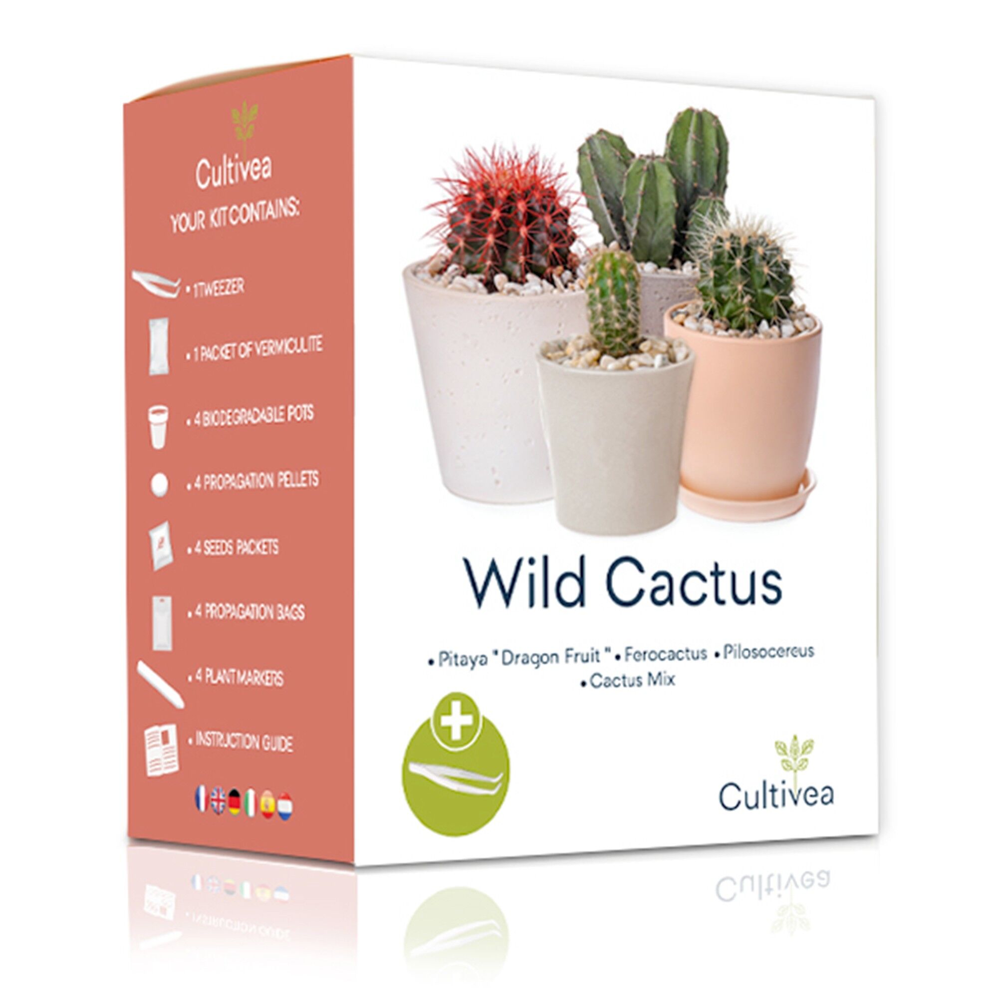 Achat Mini Kit Prêt à Pousser Wild Cactus en gros