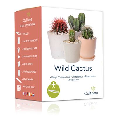 Mini kit listo para cultivar cactus silvestres