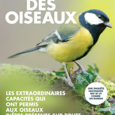 Le génie des oiseaux