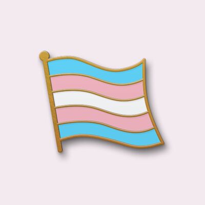 10 Pin's - Drapeau transgenre - Pins LGBT - Collection "Les Drapeaux"