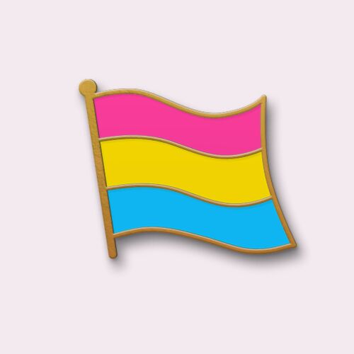 10 Pin's - Drapeau pansexuel - Pins LGBT - Collection "Les Drapeaux"