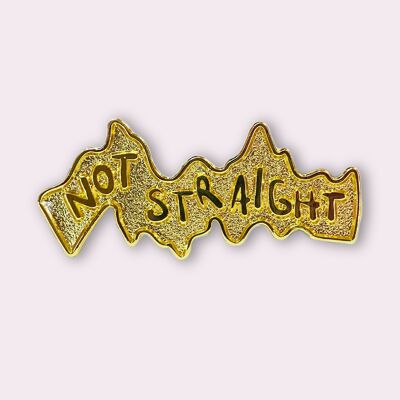10 Pin's - Not straight - Pins LGBT - Collection "Les Assumé•e•s"