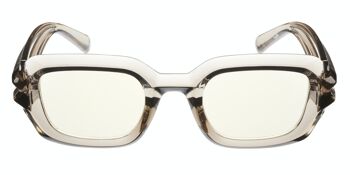 Lunettes pour ordinateur - Lunettes pour écran - THE GOTHIC COMPTABLE BLUESHIELDS - Gris clair 2