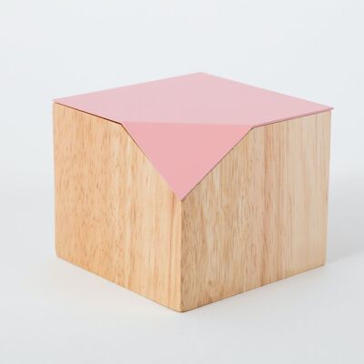 Cut-Away Storage Box - Pink