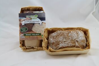 Billers Organic Backpack Bread Type Pain à la citrouille et au chia