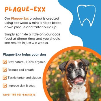 PlaqueExx anti-plaque dentaire et anti-tartre à base d'algues pour animaux de compagnie 2