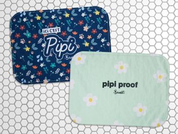 Tapis de propreté - Lot de 2