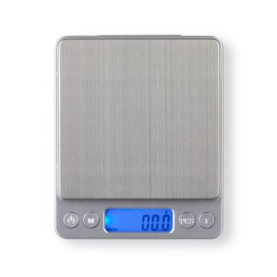 Electronic precision balance