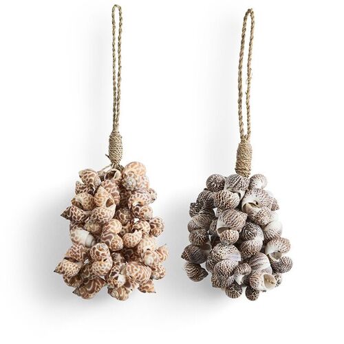 Shell Bundle Small