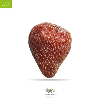 GETROCKNETE FRÜCHTE / Getrocknete Erdbeeren mit Apfelsaft – TÜRKEI – 10 kg – Bio* (*Bio-zertifiziert durch FR-BIO-10)