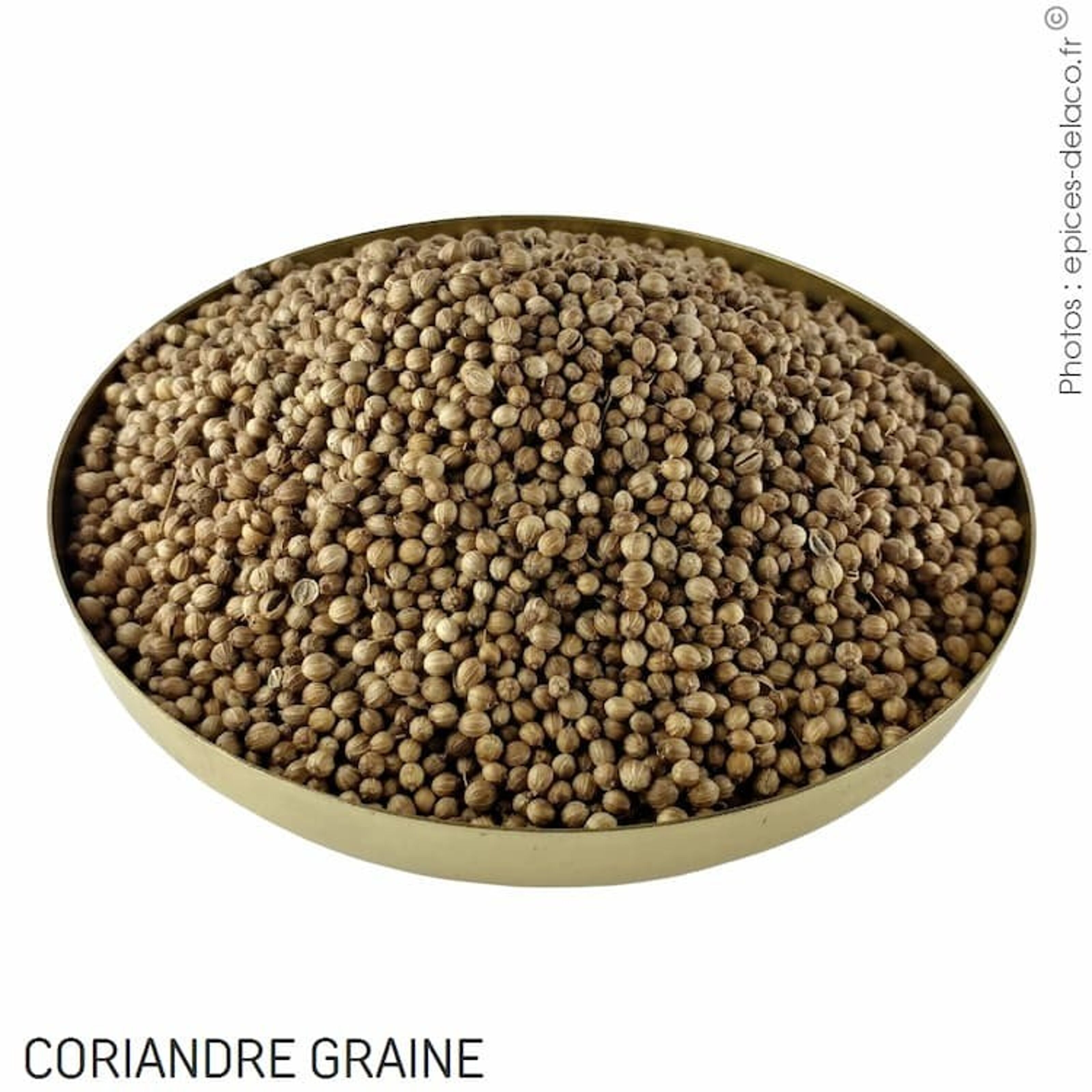 Coriandre (épices, huiles et condiments)