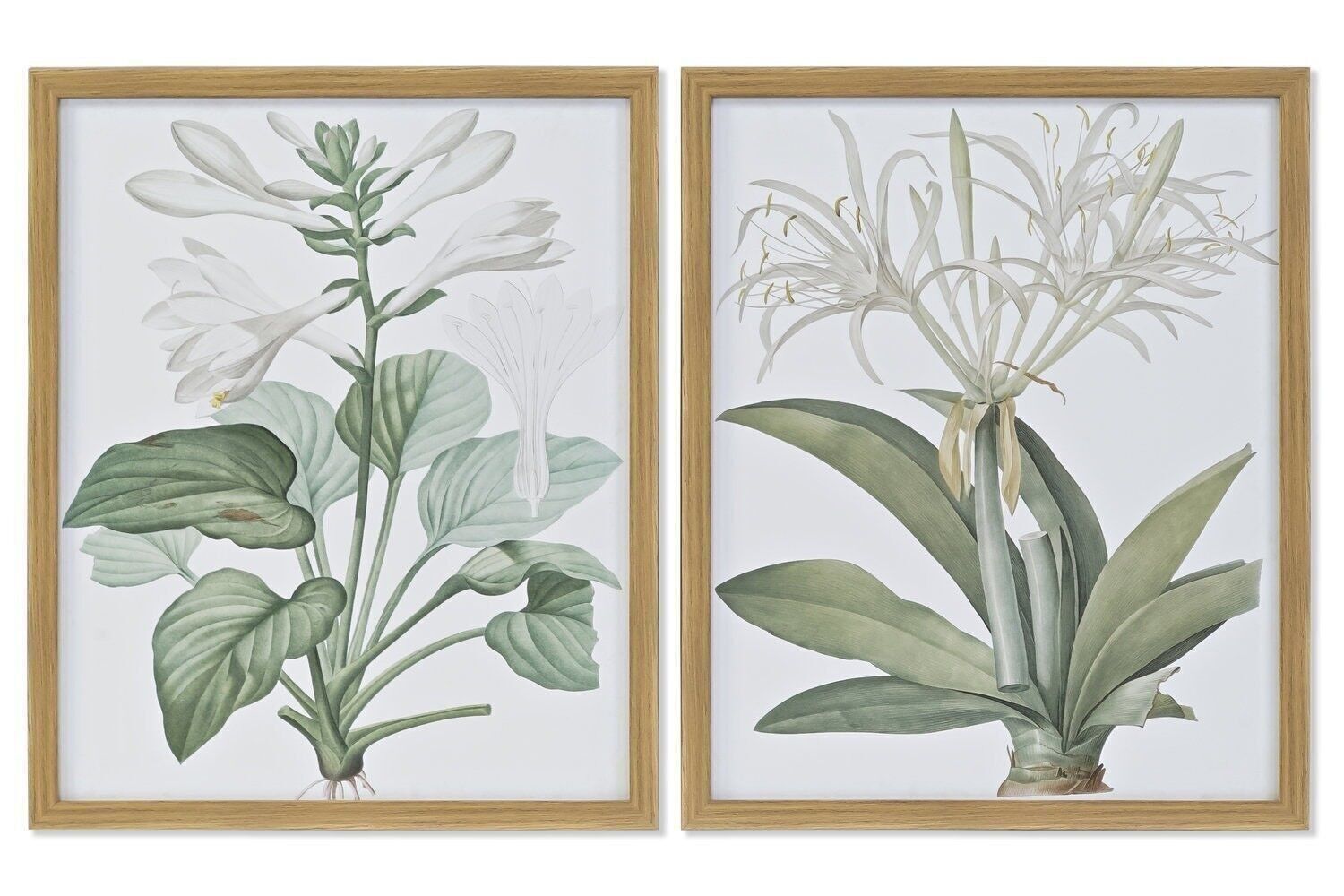 TAVOLO IN VETRO PS 43X3X53 BOTANICAL 2 ASSORTIMENTI. CU180454