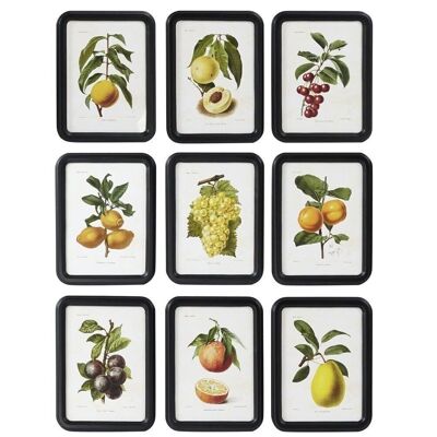 IMAGE EN VERRE MDF 30X2X40 FRUITS 9 ASSORTIS. CU185204