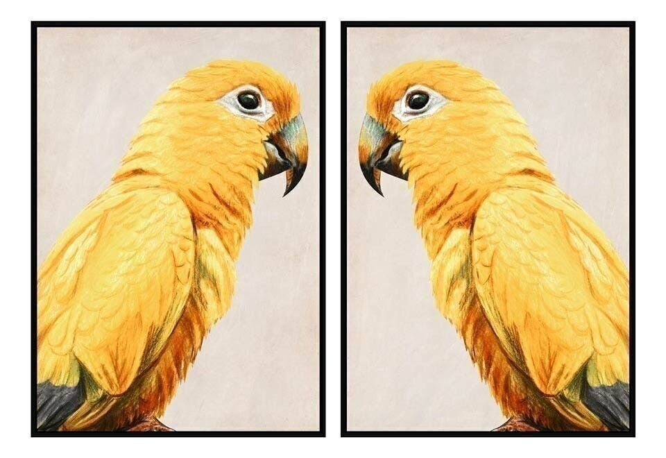 QUADRO PS 103X4,2X143 PAPPAGALLO CON CORNICE 2 ASSORTIMENTI. CU186998