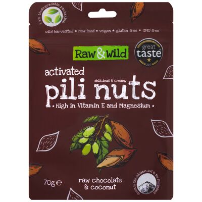 Noix de Pili Activées - Choc Cru & Noix de Coco