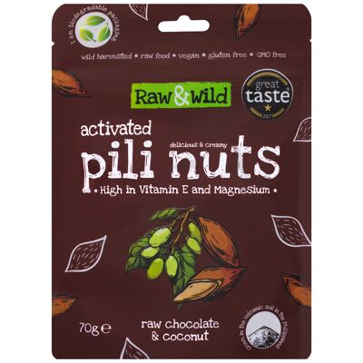 Activated Pili Nuts - Raw Choc & Coconut