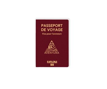 Passeport de voyage 1
