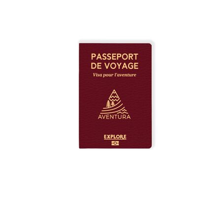 travel passport