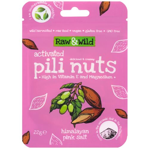 Activated Pili Nuts - Pink Himalayan Salt (snack pack)