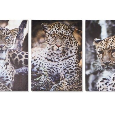 QUADRO IN MDF TELA 50X1,8X70 LEOPARDO 3 ASSORTITI. CU187420