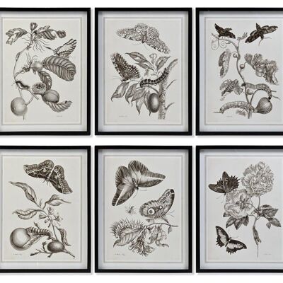 TABLEAU VERRE 50X2.5X65 FLEURS INSECTES 6 ASSORTIMENTS. CU187482