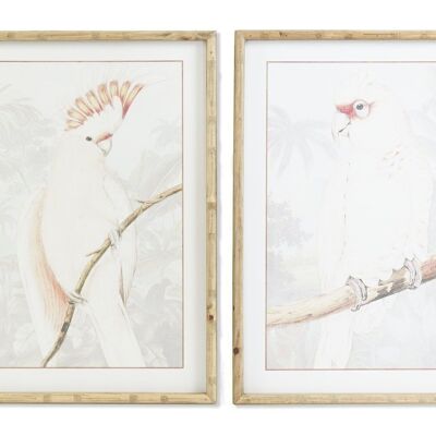 QUADRO IN VETRO MDF 50X3X70 CACATUA 2 ASSORTITI. CU187488