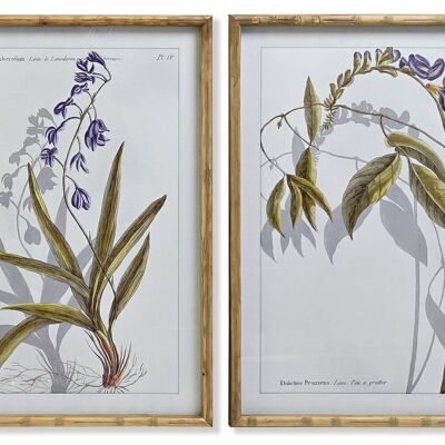 BOTANISCHES MDF-GLASBILD 50X2X70 2 SORTIMENTE. CU187490