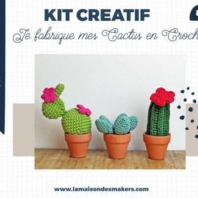 Kit de cactus de ganchillo de bricolaje