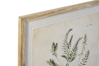 TABLEAU EN VERRE DE SAPIN 50X2X70 BOTANIQUE 6 ASSORTIMENTS. CU201362 2