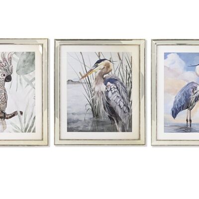 PICTURE LIENZO PS 56X1,6X66 AVE FRAMED 3 ASSORTMENTS. CU201394