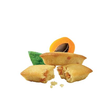 Case of Mini Apricot Financiers of 150 g