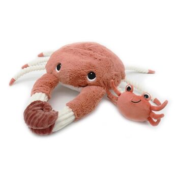 CRABE MAMAN & BEBE TERRACOTTA / THE CRAB 3