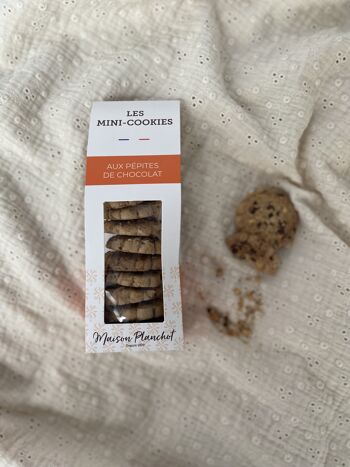 Mini-cookies 1