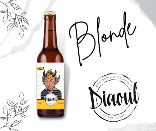 Bière Blonde 33cl