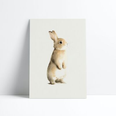 POSTER 30X40-Baby-Kaninchen