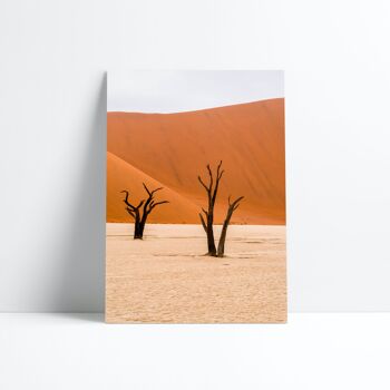 AFFICHE 30X40-Namib desert 1