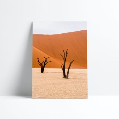 AFFICHE 30X40-Namib desert
