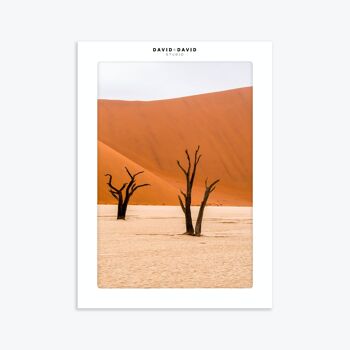 AFFICHE 30X40-Namib desert 2
