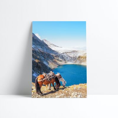 POSTER 30X40-Beautiful Bulgaria