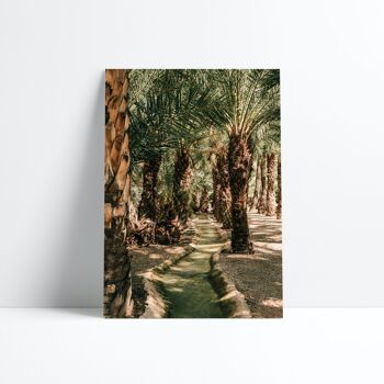 AFFICHE 30X40-Elche palm grove 1