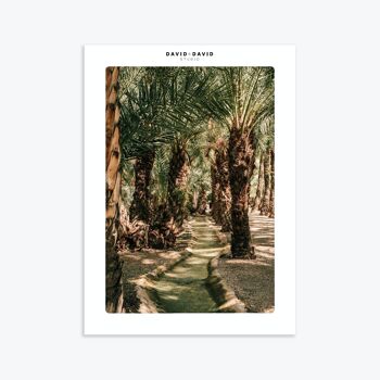 AFFICHE 30X40-Elche palm grove 2