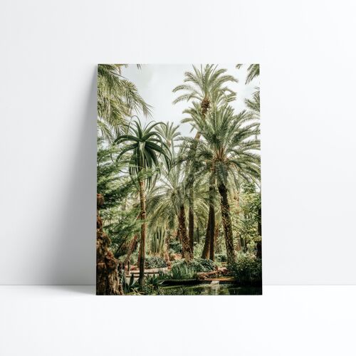 AFFICHE 30X40-Elche jungle